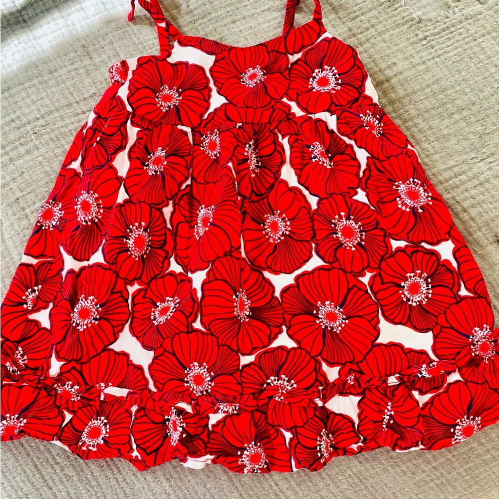 Janie and Jack Scarlet Floral Dress
